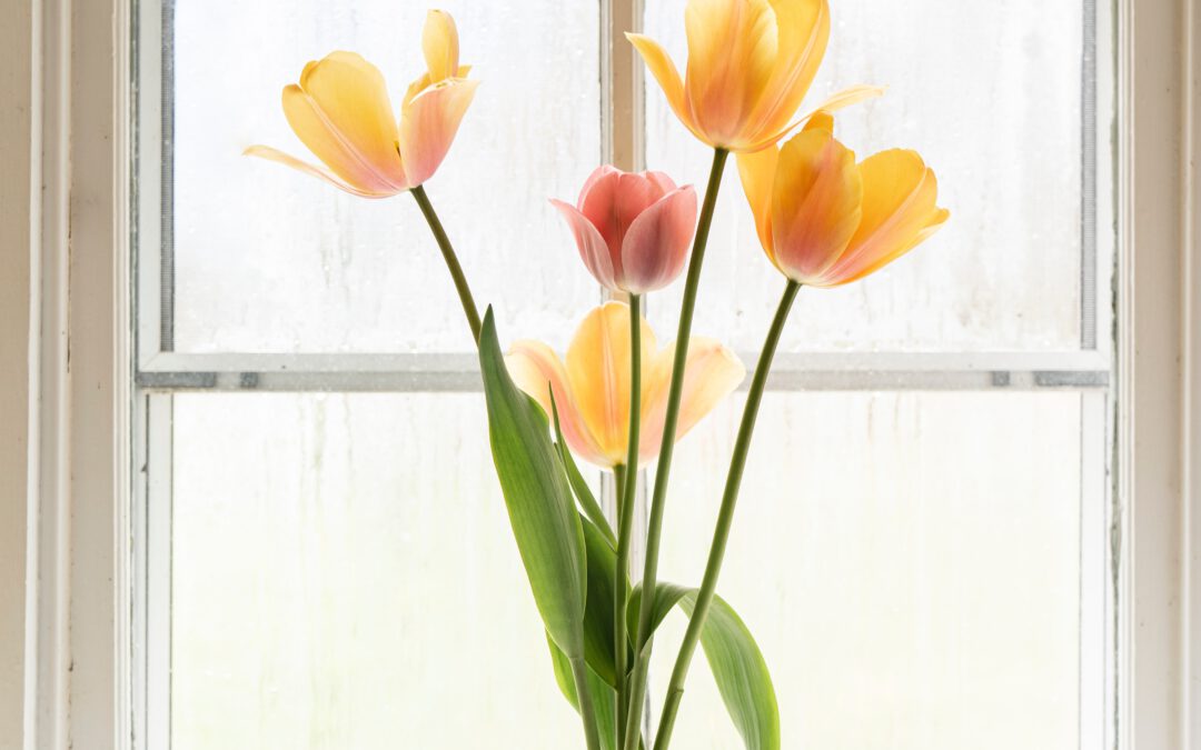 Voorjaar in je bol: maak je huis alvast lente proof